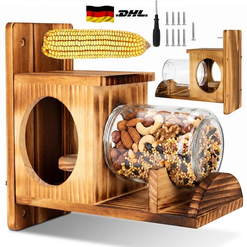 Eichhörnchen futterhaus - eichhörnchen,