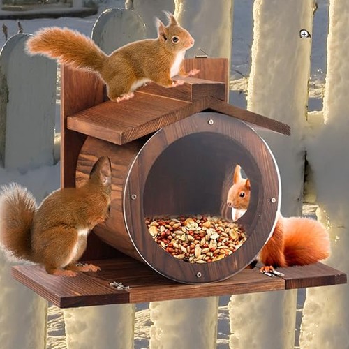 Eichhörnchen futterhaus - eichhörnchen,